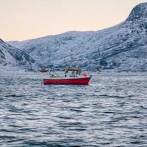 Content 8 edit dari no preview jadi preview karena konten berubah ke 19 menit