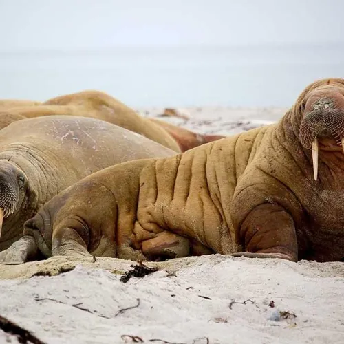 Kisah di ujung senja