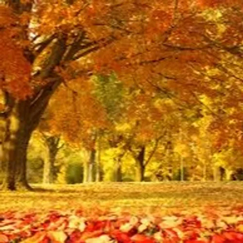 Change video 6m to 19m